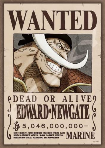 󥹥(ENSKY) ѥ ԡ ޶504600٥꡼ EDWARDNEWGATE 18.225.7cm 2...