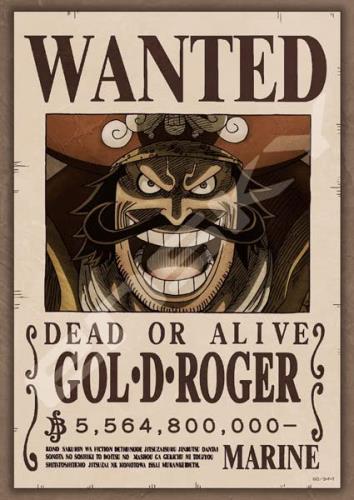 󥹥(ENSKY) ѥ ԡ ޶556480٥꡼ GOLDROGER 18.225.7cm 208...