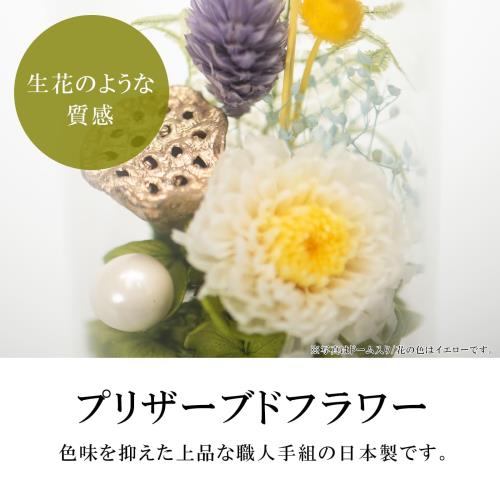 �����ˡ� �¥���� ʩ�� �ץꥶ���֥ɥե� ʩ�� ������ ���� �Τ褦�� �Ϥ�ʤ� �� �ڥå� �ե� ����󥸥��� ������ ������ ����ѥ��� ����ʩ�� ���꡼�� ������ ������ ������ ������� �긵���� �� �ܳ�Ū �� ���� ���� ��Ω ���� ���� �������� £�� £��