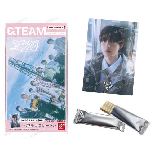 TEAM ĥ󥦥ϡ 20BOX ()