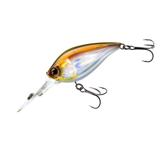 DUEL(ǥ奨) HARDCORE(ϡɥ) Х륢 ȥ 3+ 70mm եƥ 03:參 ſư ƥ...