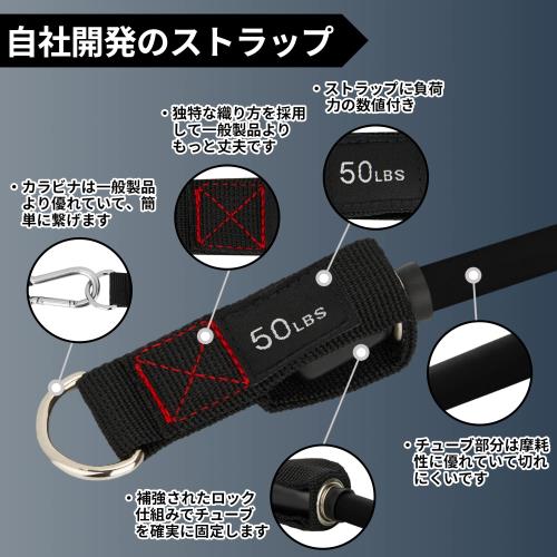 TheFitLife �ȥ졼�˥󥰥��塼�� ���塼�� �ȥ졼�˥� �ڥȥ���塼�� (��/��/��/��/��)