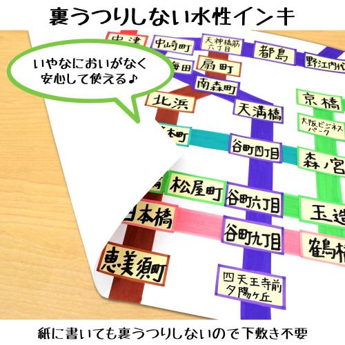 サクラクレパス 水性ペン ピグマックスツイン ZPK-T10P#49 黒 10本 3