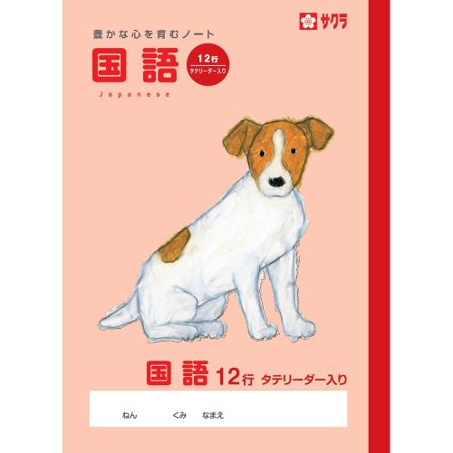 饯ѥ ؽĢ  12R NP28(10) 10