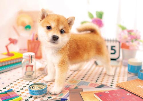 エポック社 108ピース ジグソーパズル いきもの/ペット いぬ あそぼうよ! (18.2×25.7cm) 01-065 のり付き ヘラ付き 点数券付き EPOCH