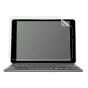 ナカバヤシ(Nakabayashi) iPad 10.2インチ 第9世代 2021/第8世代 2020/第7世代 2019 用 液晶保護フィルム 抗菌 抗ウイル...
