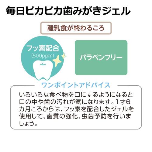 リッチェル トライ 毎日ピカピカ 歯みがきジェル いちご味 1歳6か月頃から
