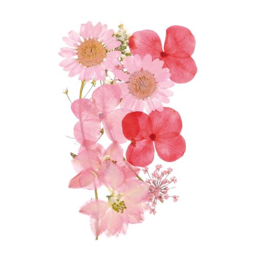 PATIKIL ドライプレスフラワー、本物のドライリーフプレスブルーム、スクラ ップブック用品、カード作り、レジン宝石作り、石鹸キャンドルDIYクラフト、ピンク