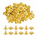 PATIKIL レザーリベット 8mm尖ったリベット 100セット ファスナー 留め具 皮革工具 手芸パーツ レザークラフト 装飾 ロックナットヘッド 衣類 ベ...