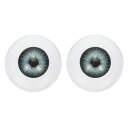 PATIKIL 24mm 人形 目 2個 リアルなアクリル製目 プラスチック製半眼球 人形マスク ハロウィン小道具 アートクラフト用 ブルーグレー