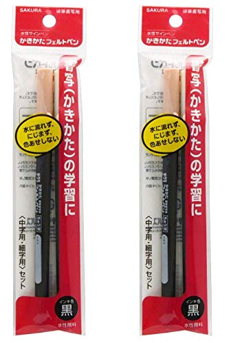 2ペアセットサクラクレパス 水性マーカー かきかたフェルトペン 細字・中字 FK2SM-P