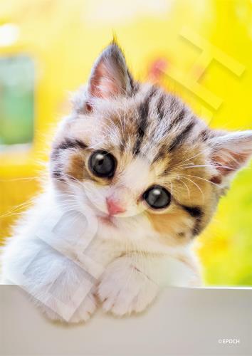 エポック社（EPOCH） 108ピース ジグソーパズル いきもの/ペット ねこ にゃんだろう？ （18.2×25.7cm） 03-096 のり付き ヘラ付き 点数券付き