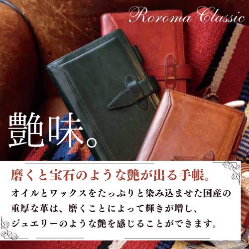 �쥤�ᥤƣ�� �����ƥ��Ģ ��������� �����ޥ��饷�å� �ߥ�5 �������֥饦�� DPM3034E