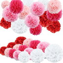 YFFSFDC ペーパーポンポン ハニカムボール 15個セット 紙花 パーティー 紙ポンポン 誕生日 卒業式 装飾 結婚式 飾り付け インテリア ウェディング 撮影 お祝い 記念日 お祭り 文化祭 バースデー デコレーション (ピンク系)