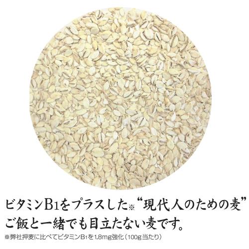 はくばく 業務用麦割ビタバァレー 5kg