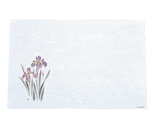 ܻ Фޤä ݱ»(100) WS-11