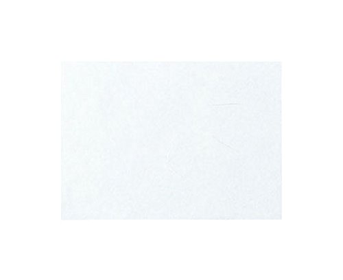 ƥå ݻ»  Z6-17  (100) QSV3701