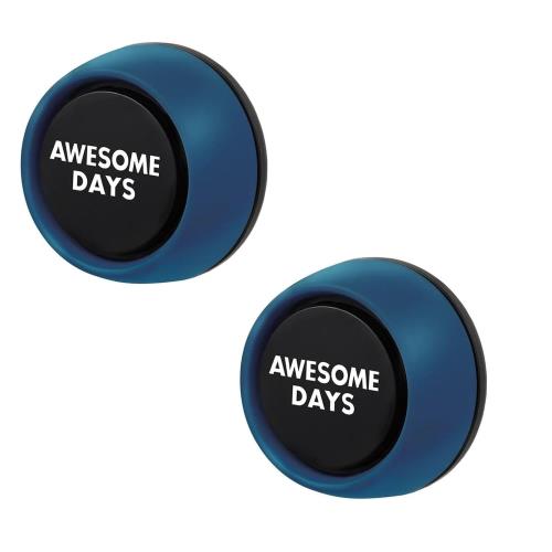 晴香堂(HARUKADO) カーオール 車用 芳香剤 オーサムデイズ クリップ 2個パック レイクブリーズ 2.4gx2個 3601