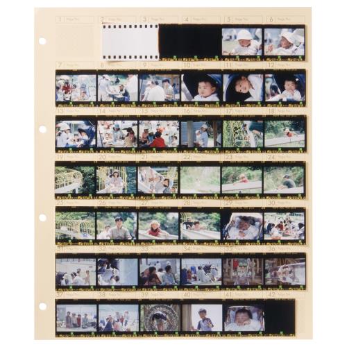 ϥ (HAKUBA) եѥХ ͥեȥХ  35mm(5) ͥեȥ٥Ƥ(󥿥ȥץ...