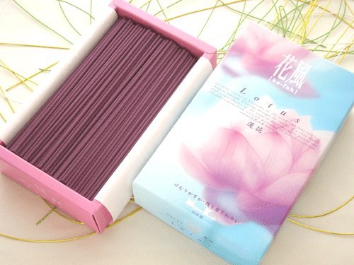 ܹƲ쥿ײʤդLotus ϡ֡Ȣ