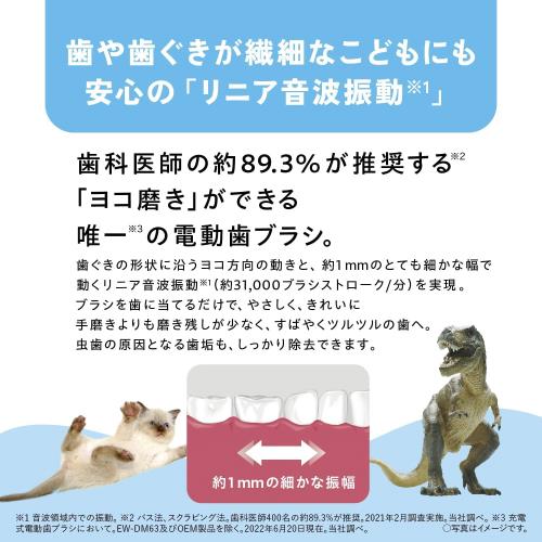 パナソニック 電動歯ブラシ キッズドルツ 青 EW-DK31-A