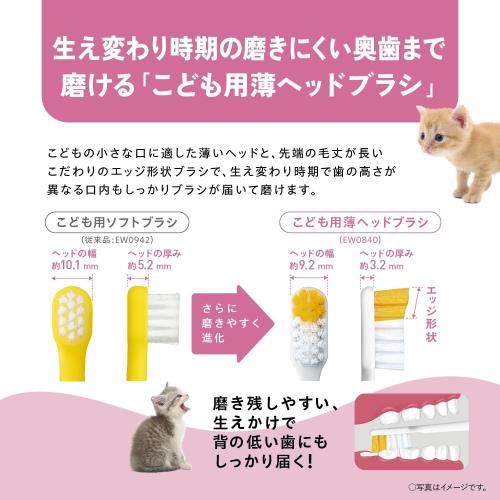 3個まとめ買い MPカプセル 植物性カプセル　2号 60個入 メール便送料無料 × 3個セット