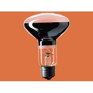 ѥʥ˥å ʥŵ 100V 60W 62ߥ E26 RS100V60W