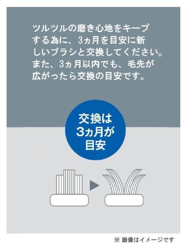 パナソニック 替えブラシ ドルツ カーブスピンタイプ 1本 白 EW0981-W