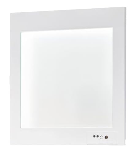 ѥʥ˥å(Panasonic)  LEDͶƳ ̷̷20ʬ֡ ǽ/B顦BL(20B) FA20303CLE1