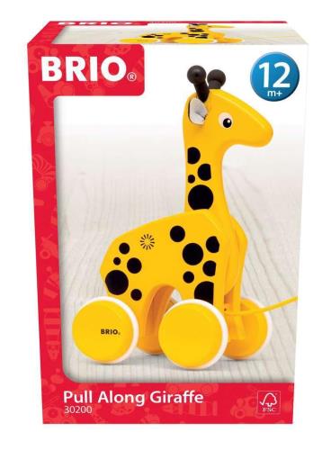 BRIO (֥ꥪ) ץȥ  оǯ 1~ ( ĥ뤪  ΰ) 30200