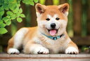 300ピース ジグソーパズル ここにおいでよ! ~秋田犬~