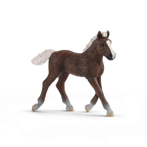 SCHLEICH シュライヒ ファームワールド シュヴァルツヴァルト馬（仔） フィギュア 13899