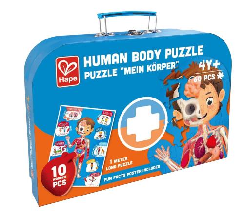 Hape(ϥ) Τߥѥ 100502.3cm 3Ͱʾ  ޤޤ  E1635