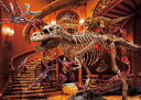 ビバリー Dinosaur in Museum(38×53)66-224