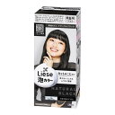 リーゼ 泡カラー 髪色もどし ナチュラルブラック 108ml 医薬部外品