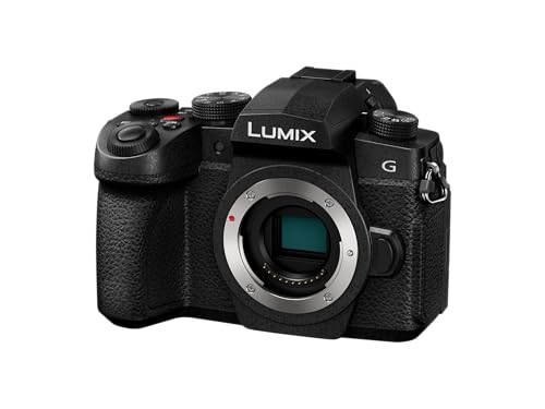 ѥʥ˥å (Panasonic) ߥ顼쥹㥫 LIMIX G99M2 ܥǥ ֥å DC-G99M2