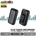 ボイスレコーダー 小型 長時間録音 バレない 浮気調査 ICレコーダー 録音機 USBメモリ型 128GB 大容量 IC-003【防犯カムカム】