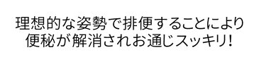 トイレ 踏み台 子供 キッズ 洋式 トイレ用 足置き台 お通じ解消 トイレ 踏み台 補助便座 トイレトレーニング トイレ ステップ 便秘解消 便秘改善 zak-toiletstand