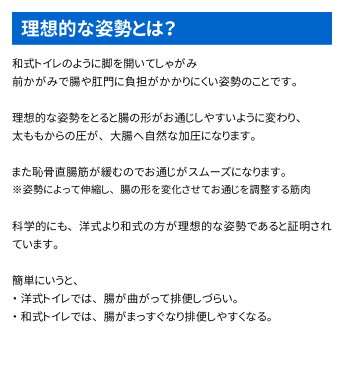 トイレ 踏み台 子供 キッズ 洋式 トイレ用 足置き台 お通じ解消 トイレ 踏み台 補助便座 トイレトレーニング トイレ ステップ 便秘解消 便秘改善 zak-toiletstand