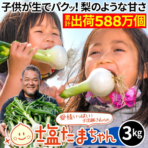 TVで話題のたまねぎ 熊本県産 タマネギ 3kg 塩たまちゃん 塩玉ちゃん 塩玉ねぎ 玉ねぎ サラダたまねぎ お取り寄せ お取り寄せグルメ 農家直送 送料無料 TVで話題のたまねぎ 熊本県産 タマネギ 3kg 塩たまちゃん 塩玉ちゃん 塩玉ねぎ 玉ねぎ サラダたまねぎ お取り寄せ お取り寄せグルメ 農家直送 送料無料