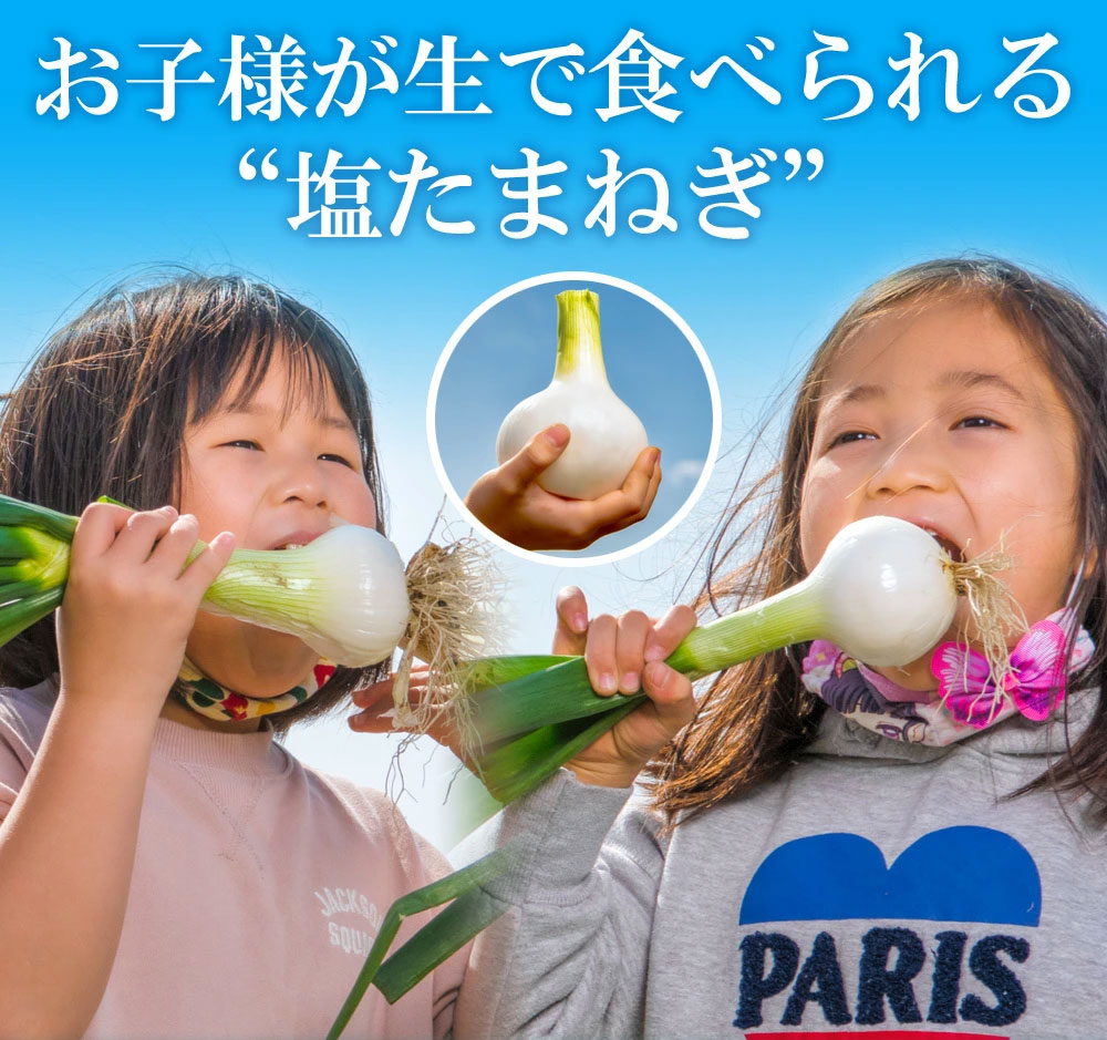 TVで話題のたまねぎ 熊本県産 タマネギ 3kg 塩たまちゃん 塩玉ちゃん 塩玉ねぎ 玉ねぎ サラダたまねぎ お取り寄せ お取り寄せグルメ 農家直送 送料無料