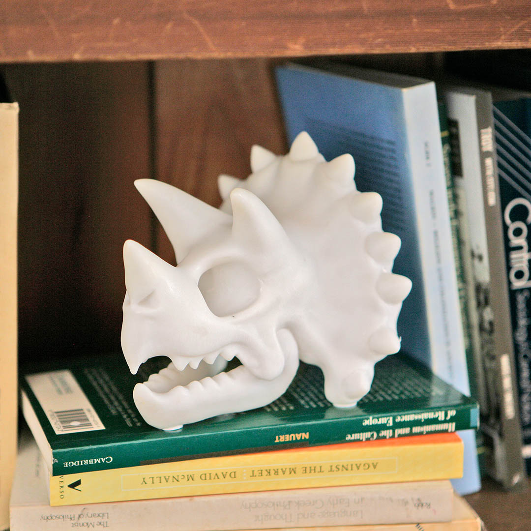 DULTON ( ダルトン ) SKELETON HEAD スケルトン ヘッド | オブジェ | メガネホルダー | メガネ置き | 恐竜 | モチーフ | オシャレ | NB-0859 | NB-0860 | だるとん | 樹脂製 | スケルトン