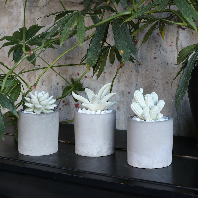 DULTON ( ダルトン ) LITTLE GEM FRAGRANCE DIFFUSER リトル ジェム フレグランス ディフューザー | G875-959 | だるとん | サボテン | インテリア | 可愛い | 落ち着く | 香り | 芳香剤