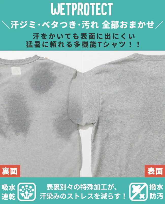 サンプル画像3