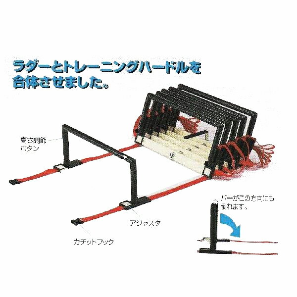 サークルリング ダンノ D-345 ラダーハードル (DAN)