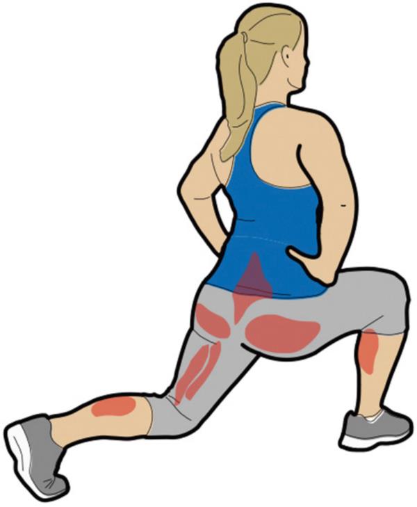 ��å��ץ쥹 ����� D-9001 VERSA��å��ץ쥹/�����եץ쥹 (DAN)��36CE��