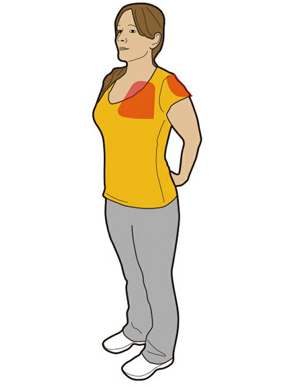 �ڥ��ȥ���ե饤 ����� D-9004 VERSA�ڥ��ȥ��ե饤/�ꥢ�ǥ�� (DAN)��36CE��