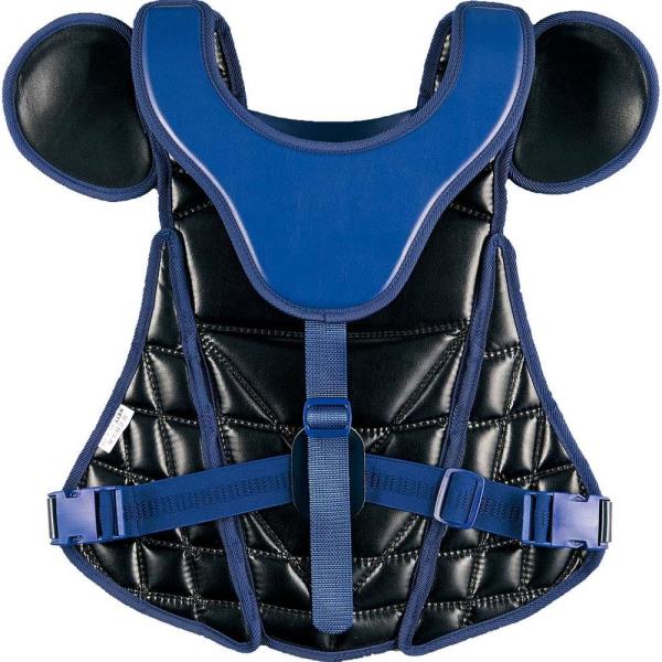 �ץ��ƥ����� �ż���� �ץ��ƥ����� ����å��㡼 ����ѥץ��ƥ����� BLP1265-2900 �ץ����ƥ����� �ż��ѥץ��ƥ����� �ͥ��ӡ� ��ZTB�ۡ�36CE��