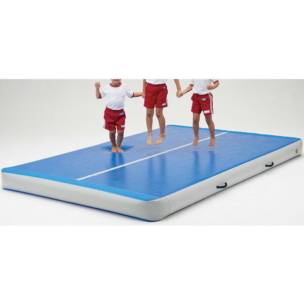 �ޥå� �������ܥå��� �ع� �ΰ� D-7174B �������ܥå���300-�֥롼�ߥ��졼 ��DAN�ۡ�36CE��