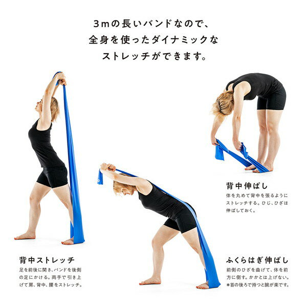 バンド ストレッチバンド ストレッチ 54181 開脚できた 【SKR】【36CE】